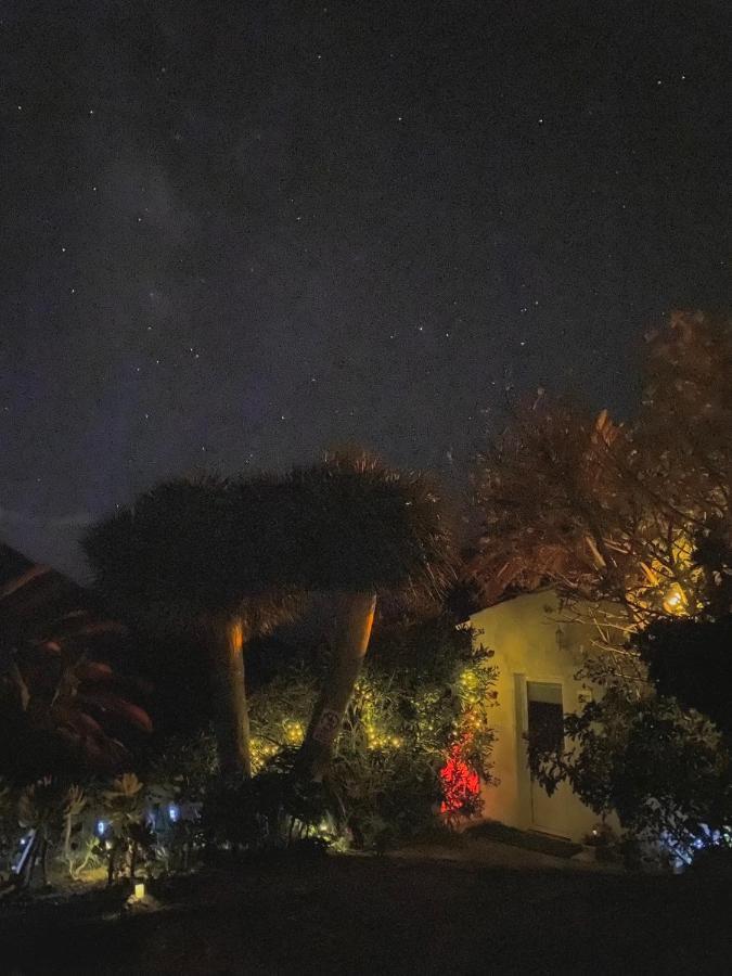 Sweet Home מאסקה מראה חיצוני תמונה